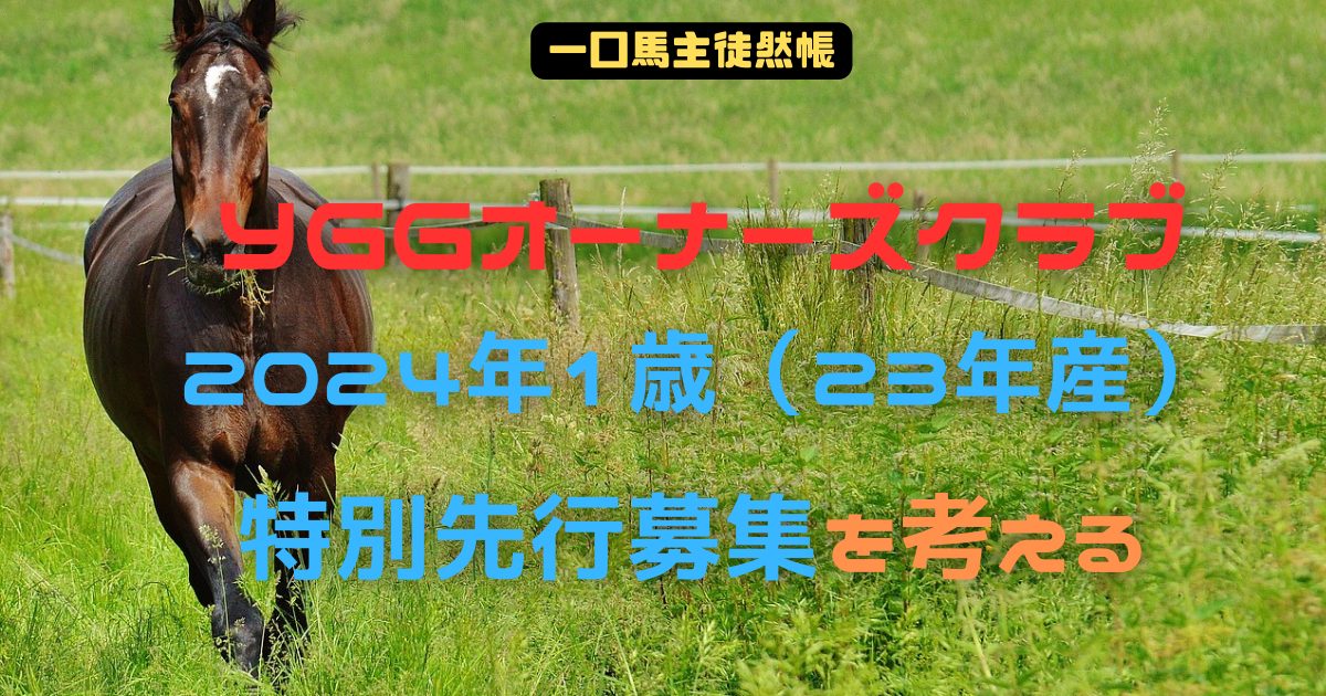 YGGオーナーズクラブ　2024年1歳（23年産）特別先行募集を考える